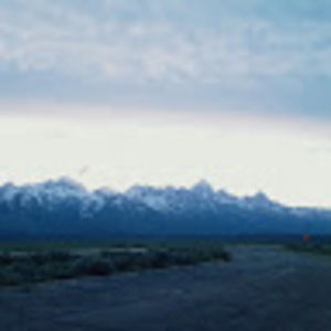 Meet your Posher, Ann